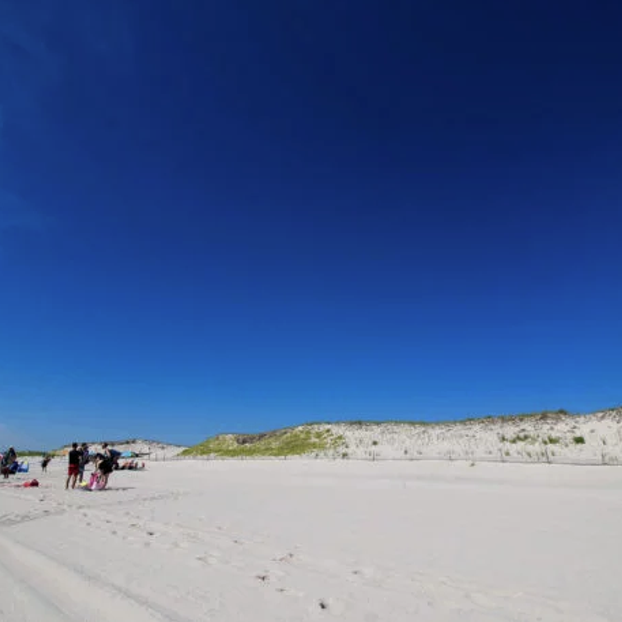 sand dunes at Island Beach