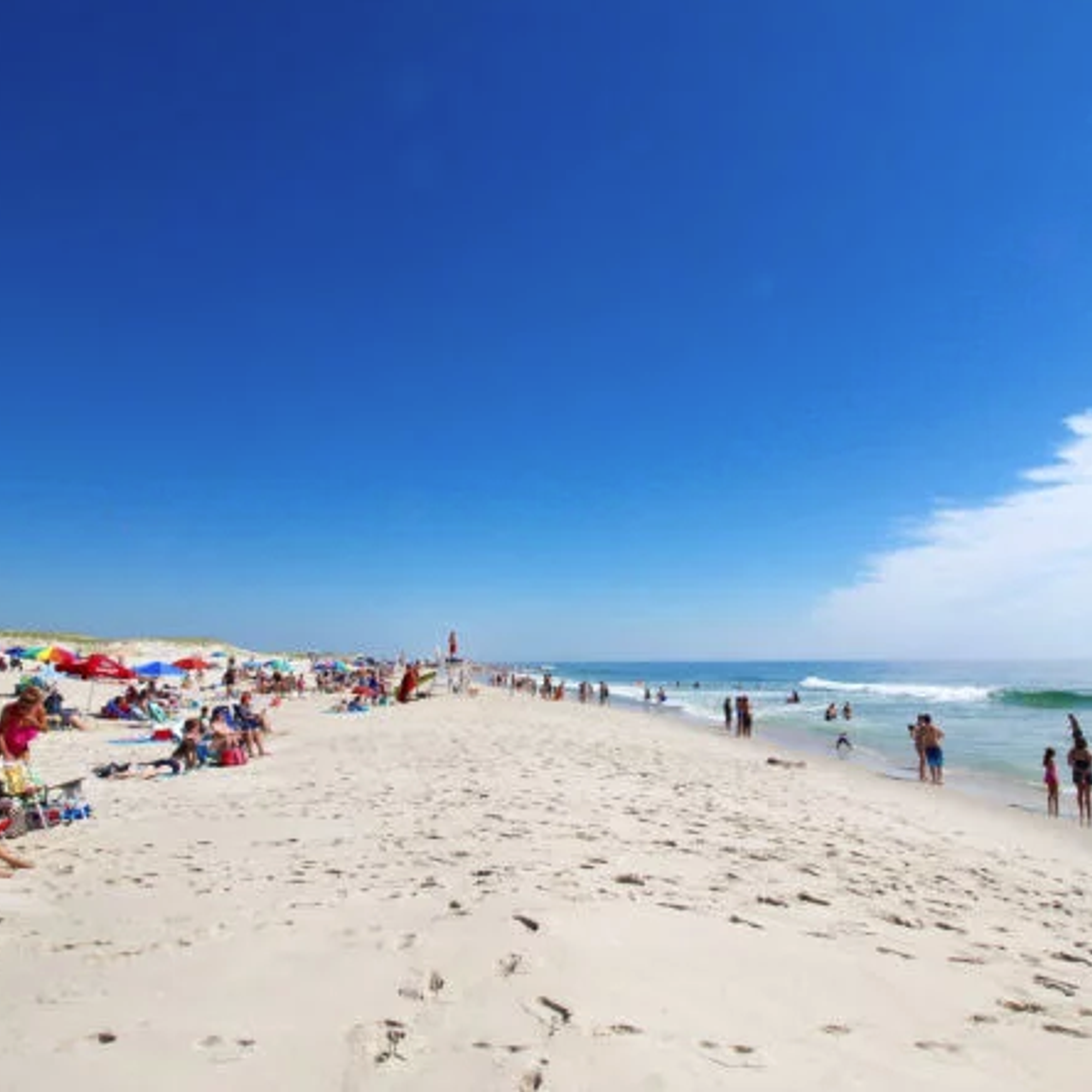 Island Beach NJ