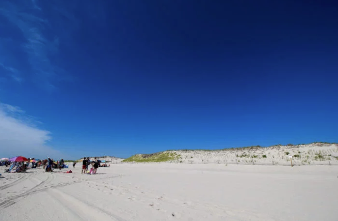 sand dunes at Island Beach